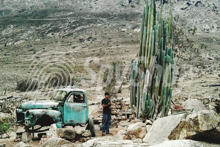 The desert landscape of Mexico. In the foreground a car wreck, a man and cacti.