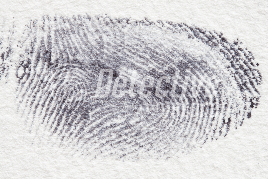 Enlarged fingerprint showing unique fingerprint patterns.