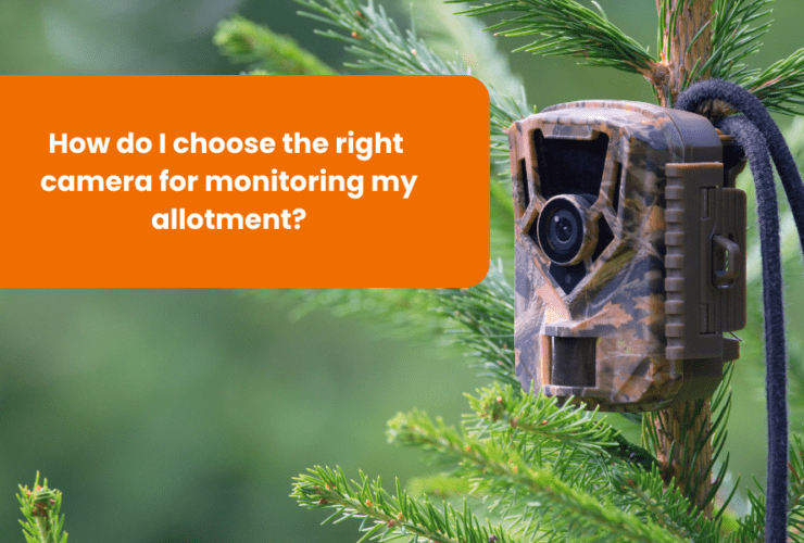 A camouflage camera mounted on a tree, with the question "How do I choose the right camera for monitoring my allotment?" displayed above it.
