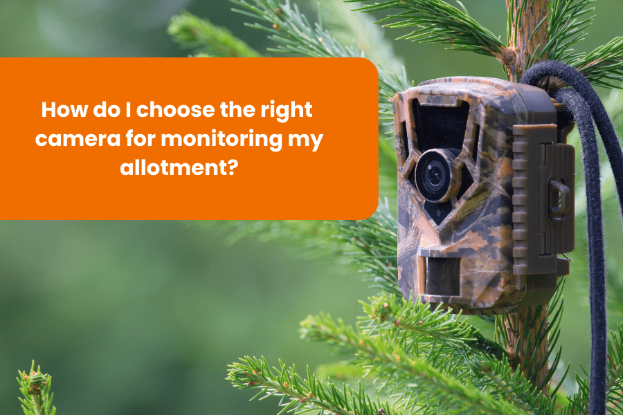 A camouflage camera mounted on a tree, with the question "How do I choose the right camera for monitoring my allotment?" displayed above it.