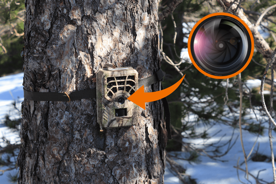 A camouflage camera mounted on a tree with an arrow pointing to the lens, illustrating a perfect device for monitoring in nature or for security purposes.