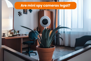 The graphic shows a mini camera placed on a flower, which is visible and not hidden. In the background, you can see a cosy living room with furniture.